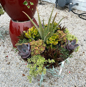 Meet your Posher, Carla